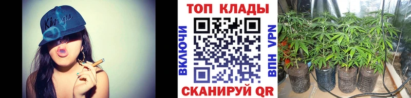 Наркотические вещества Петрозаводск A-PVP Меф ГАШ Каннабис COCAIN
