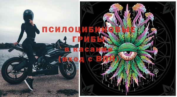 дмт Алексин