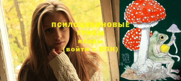 дмт Алексин