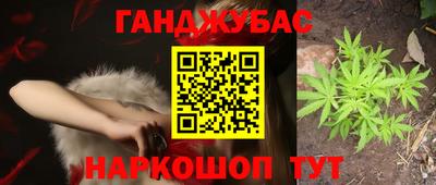 тгк Ставрополь
