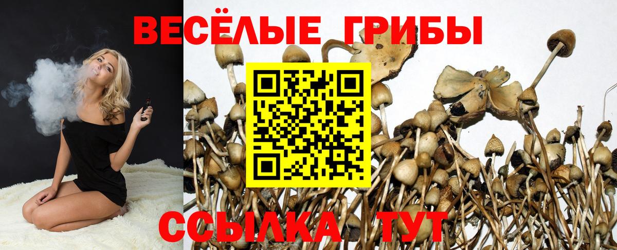 Галлюциногенные грибы Psilocybine cubensis  Вход с VPN  наркотики  Петрозаводск  Галлюциногенные грибы Psilocybine cubensis 