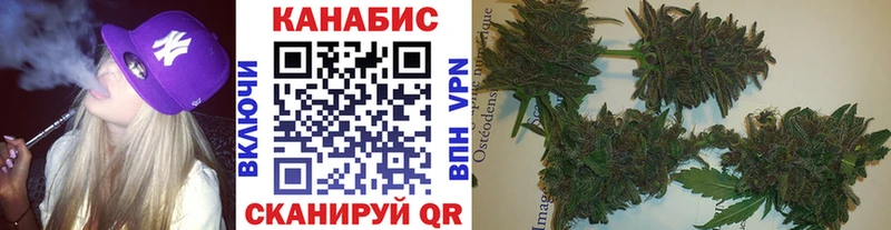 хочу   Петрозаводск  Каннабис марихуана 